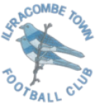 Ilfracombe Town team flag