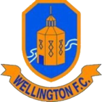 Wellington team flag