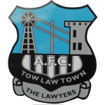 Tow Law Town team flag