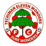 Eleven Wonders team flag