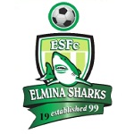 Elmina Sharks flag