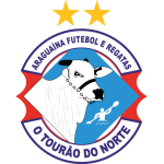 Araguaína team flag