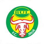 BUL team flag