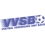 Vvsb team flag