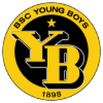 Young Boys II team flag