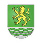 Paradiso team flag