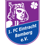 Eintracht Bamberg team flag