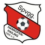 Hankofen-Hailing team flag