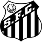 Santos team flag