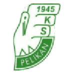 Pelikan Łowicz team flag