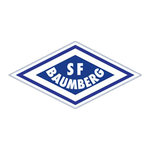 SF Baumberg team flag