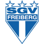 SGV Freiberg team flag
