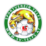 Telfs team flag
