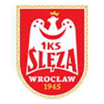 Ślęza Wrocław team flag