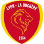 Lyon Duchere team flag
