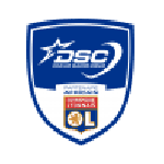 DSC team flag