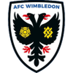 AFC Wimbledon team flag