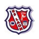 US Laon team flag