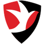Cheltenham team flag