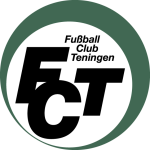 Teningen team flag