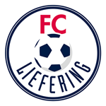 FC Liefering team flag