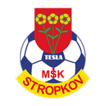 MSK Tesla Stropkov team flag