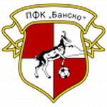 Bansko team flag