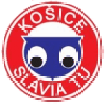 Slávia TU Košice team flag