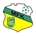 Snina team flag