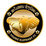Young Elephant team flag
