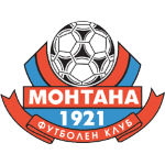 Montana team flag