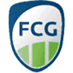 FC Gutersloh team flag