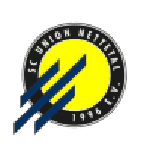 Union Nettetal team flag