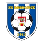 Dobrovice team flag