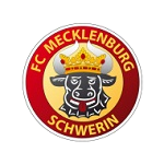 Mecklenburg Schwerin team flag