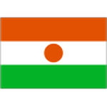 Niger team flag