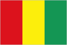 Guinea team flag