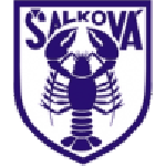 Šalková team flag