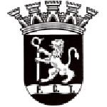 Tirsense team flag