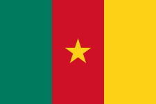 Cameroon team flag