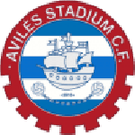 Avilés Stadium team flag