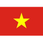 Vietnam team flag