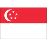 Singapore team flag