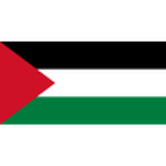 Palestine team flag