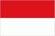 Indonesia team flag