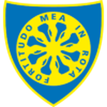 Carrarese team flag