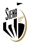 Robur Siena team flag
