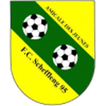 Schifflange team flag