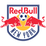New York Red Bulls team flag