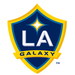 Los Angeles Galaxy team flag